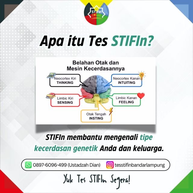 Galeri Tes STIFIn Bandar Lampung